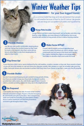 winter-weather-tips-for-pets_52cc0810e9279_w1500